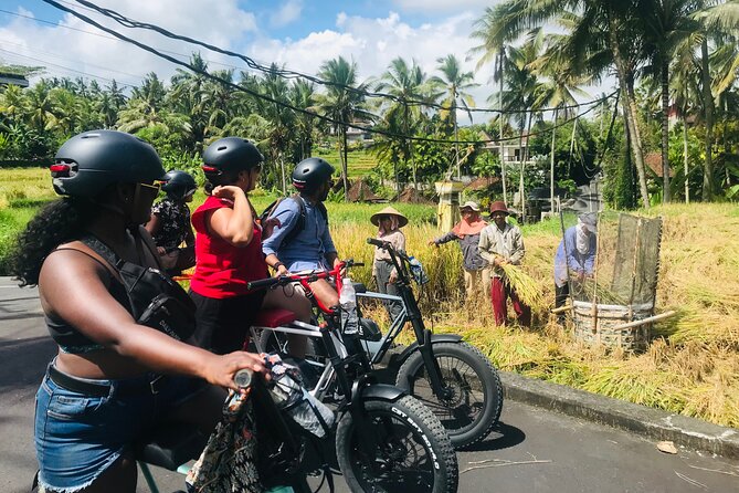 Half-Day Electric Fat Bike Tour of Ubud - Experience Highlights