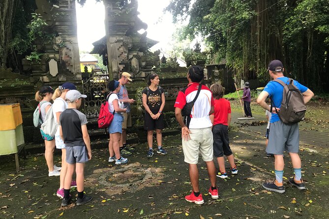 Half-Day Electric Fat Bike Tour of Ubud - Customer Reviews