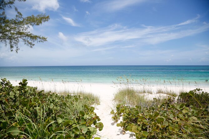Half Day Eleuthera Private Land Tour - Tour Highlights