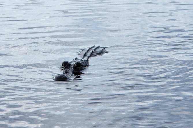 Half Day Everglades Tour With Airboat Ride & Bus From Miami Beach - Frequently Asked Questions