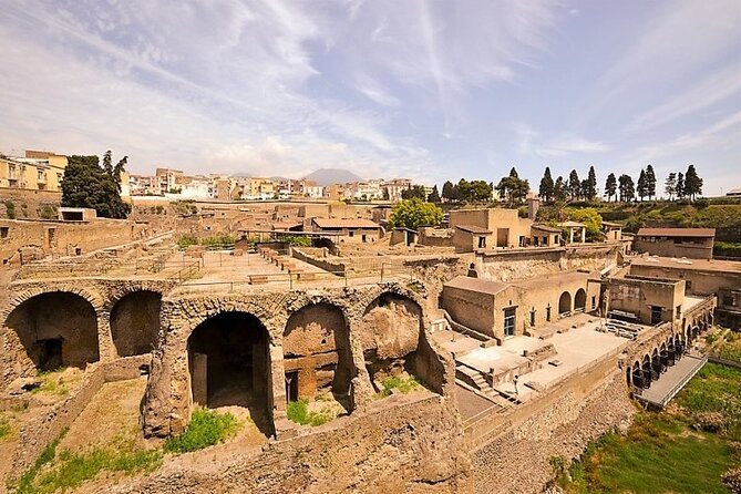 Half-Day Exclusive Private Tour of Pompeii and Herculaneum - Key Highlights of the Experience