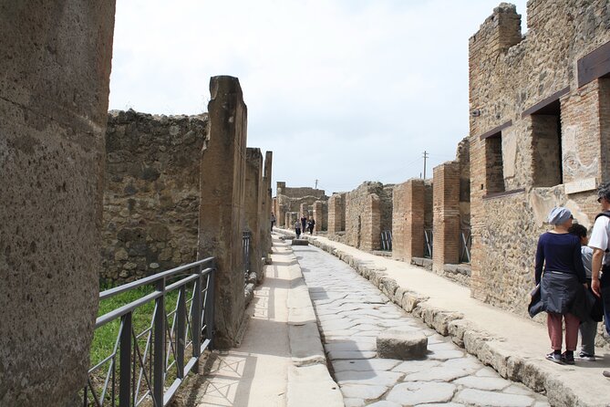Half-Day Exclusive Private Tour of Pompeii and Herculaneum - Booking Your Private Tour