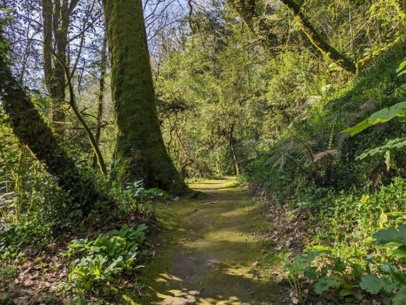 Half-Day Excursion Around Santiago - Important Information