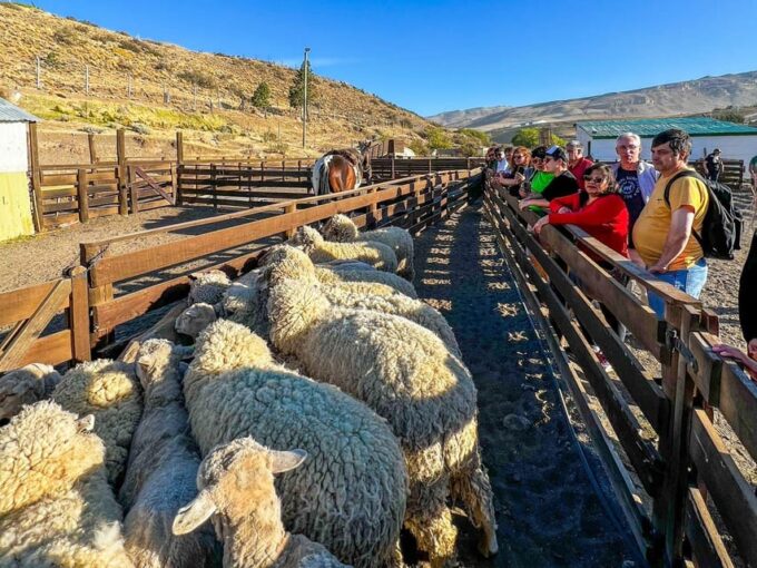 Half-Day Excursion at Estancia 25 De Mayo Field Afternoon - Frequently Asked Questions