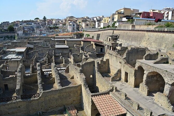 Half Day Excursion to Herculaneum From Naples With Lunch - Schedule and Availability