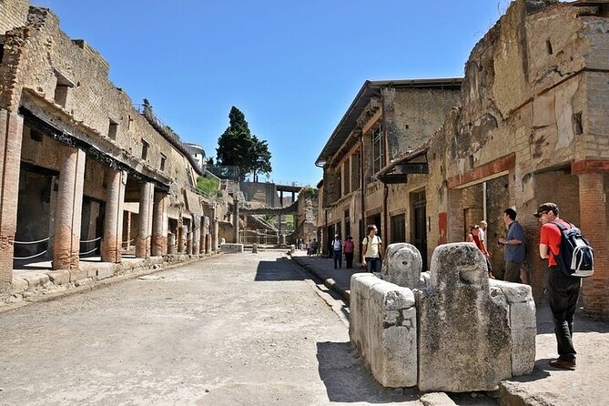 Half Day Excursion to Herculaneum From Naples With Lunch - Accessibility and Participation