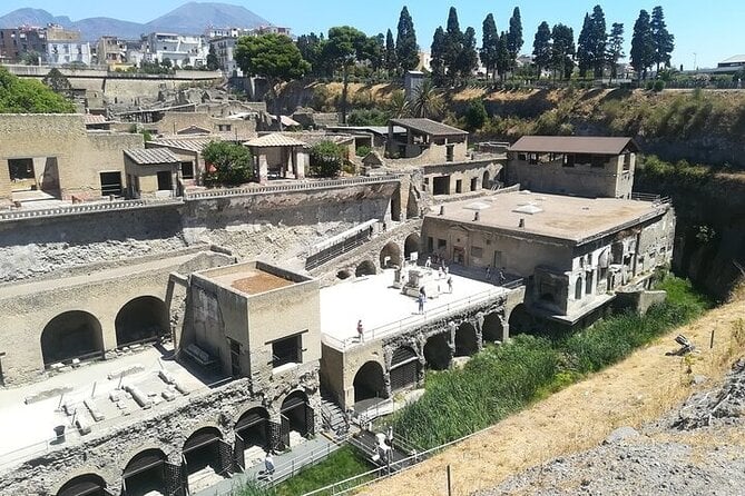 Half Day Excursion to Herculaneum From Naples With Lunch - Reviews and Recommendations
