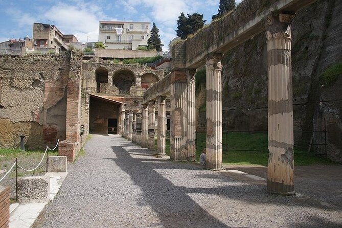 Half Day Excursion to Herculaneum From Naples With Lunch - Lunch and Refreshments