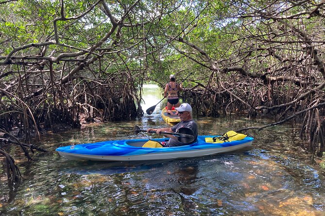 Half Day Excursion to Johns Pass Sandbar & Mangrove Tunnel - Key Points