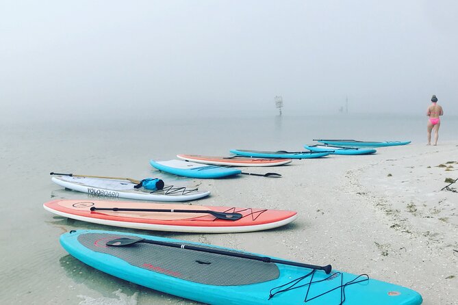 Half Day Excursion to Johns Pass Sandbar & Mangrove Tunnel - Health and Accessibility Information