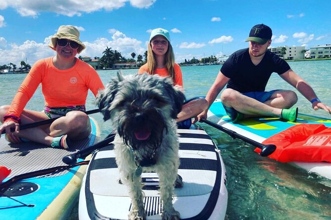 Half Day Excursion to Johns Pass Sandbar & Mangrove Tunnel - Positive Feedback From Reviewers