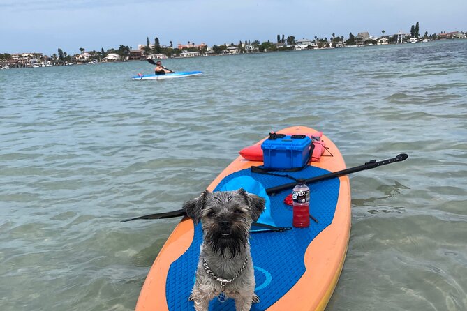Half Day Excursion to Johns Pass Sandbar & Mangrove Tunnel - Areas for Improvement From Reviewers