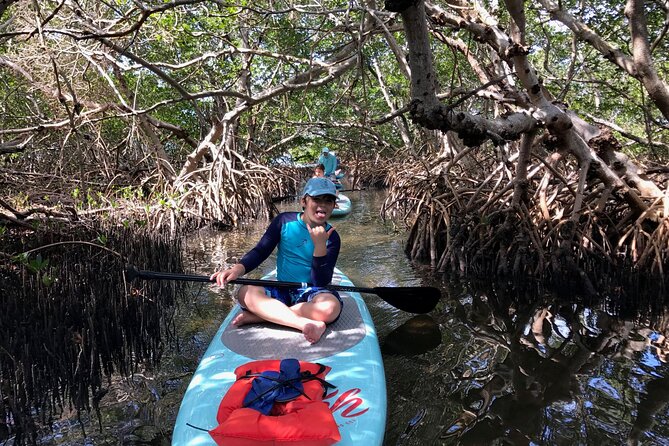Half Day Excursion to Johns Pass Sandbar & Mangrove Tunnel - Equipment Rental Options
