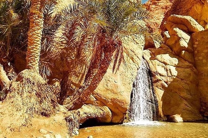 Half-Day Excursion to the Mountain Oases From Tozeur - Pickup and Accessibility Details