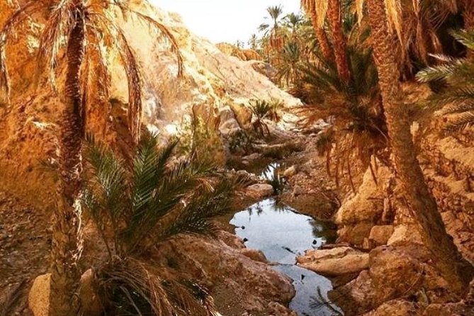 Half-Day Excursion to the Mountain Oases From Tozeur - Excursion Reviews and Ratings