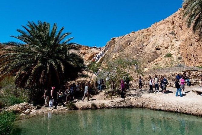 Half-Day Excursion to the Mountain Oases From Tozeur - Pricing and Cancellation Policy