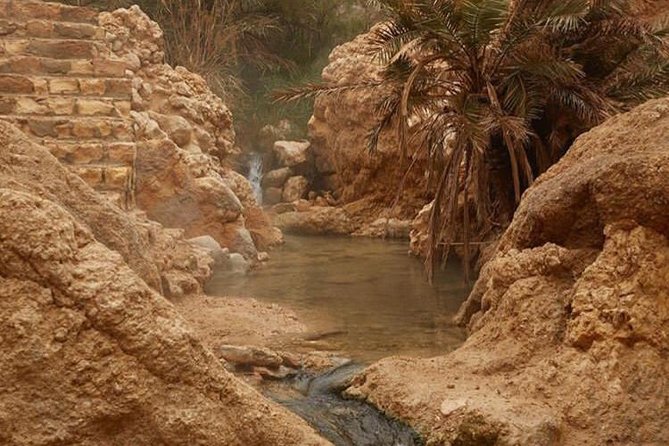 Half-Day Excursion to the Mountain Oases From Tozeur - Exploring Chebika Oasis