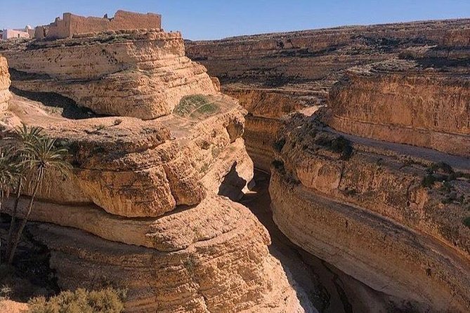 Half-Day Excursion to the Mountain Oases From Tozeur - Venturing Into Mides Valley