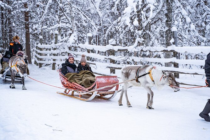 Half-Day Experience in Local Reindeer Farm in Lapland - Sled Ride Experience