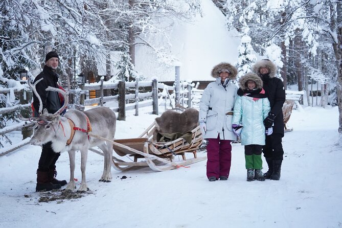 Half-Day Experience in Local Reindeer Farm in Lapland - Feeding the Reindeers