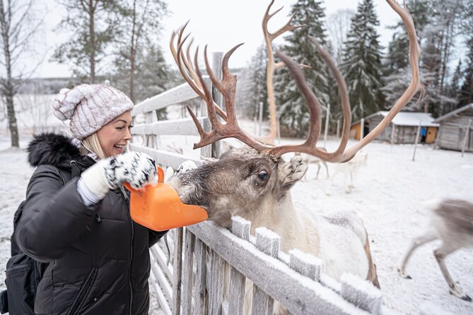 Half-Day Experience in Local Reindeer Farm in Lapland - Warm Clothing Provided