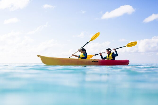 Half Day Experience in Tivua Private Island - Pickup and Departure Details