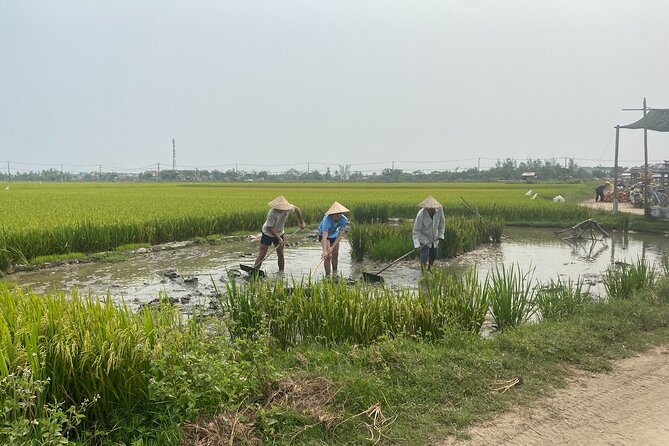 Half Day Exploring Hoi An Countryside in a Vespa - Meeting and Pickup
