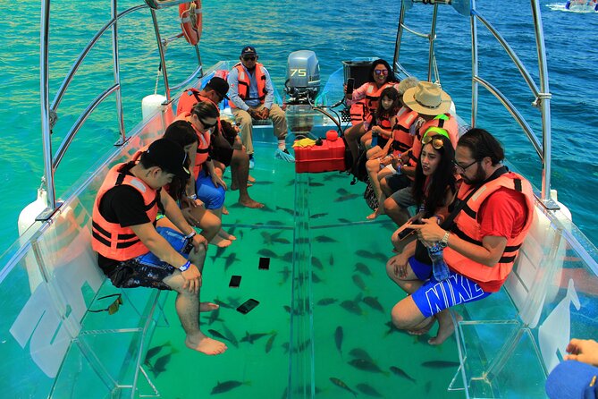 Half-Day Exploring the Arch of Cabo San Lucas Guided Tour - Frequently Asked Questions