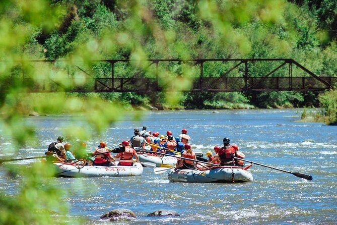 Half-Day Family Rafting in Durango, Colorado - Customer Reviews
