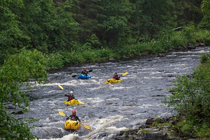 Half-Day Family Rafting to Västerdal River With Fika - Key Points