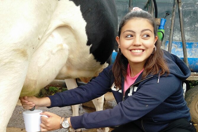Half-Day Farm Visit and Cow Milking Experience - Meeting and Pickup Information