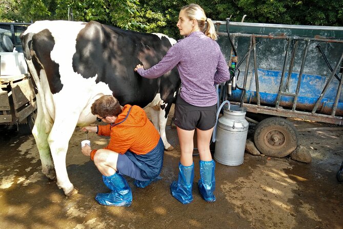 Half-Day Farm Visit and Cow Milking Experience - Cancellation and Booking Policies