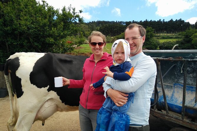 Half-Day Farm Visit and Cow Milking Experience - Customer Experiences and Feedback