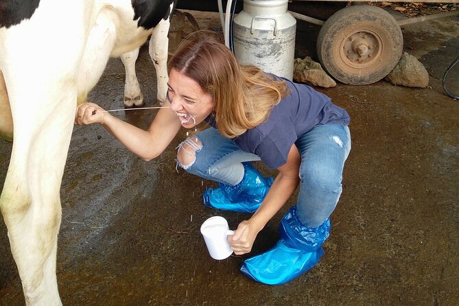 Half-Day Farm Visit and Cow Milking Experience - Sampling Local Dairy Products