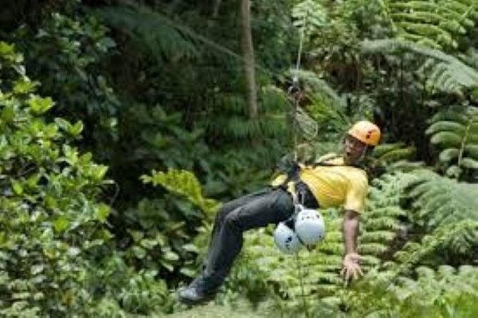 Half Day Fiji Zip-Line Tour at Pacific Harbour - Safety Considerations