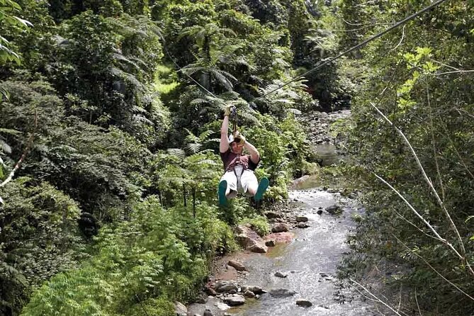 Half Day Fiji Zip-Line Tour at Pacific Harbour - Pickup and Transport