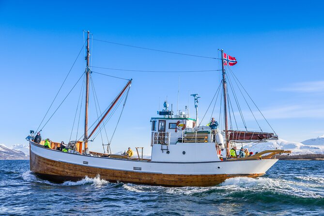 Half-Day Fishing & Fjord Cruise Adventure From Tromsø in Norway - Meeting Points and Schedule