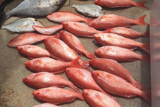 Half-Day Fishing Trip in Fort Lauderdale - Inclusions and Amenities