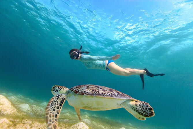 Half-Day Florida Keys Catamaran Snorkel Adventure - Inclusions in the Adventure