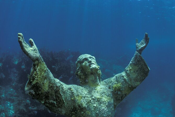 Half-Day Florida Keys Catamaran Snorkel Adventure - Confirmation and Accessibility