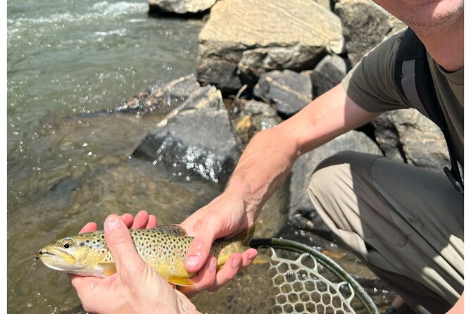 Half Day Fly Fishing Lesson on Clear Creek Near Denver - Whats Included in Your Lesson