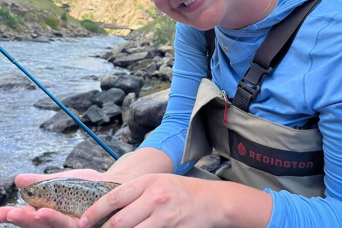 Half Day Fly Fishing Lesson on Clear Creek Near Denver - Techniques You Will Learn