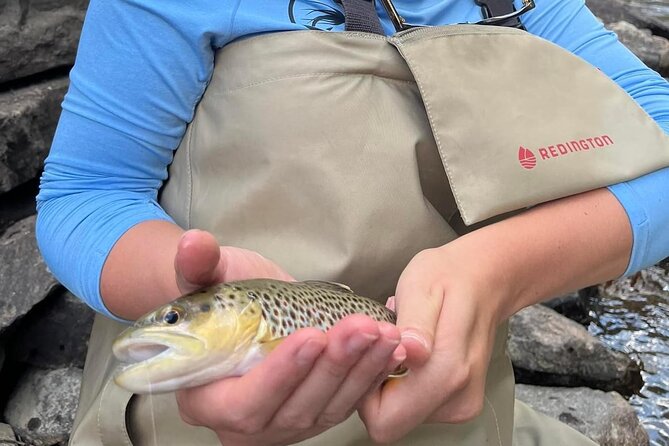 Half Day Fly Fishing Lesson on Clear Creek Near Denver - Meeting Point and Logistics