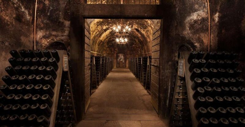 Half-Day Food and Wine Experience in Franciacorta - Experience Overview