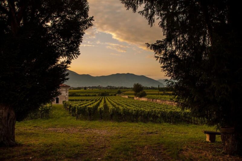 Half-Day Food and Wine Experience in Franciacorta - Participant Information