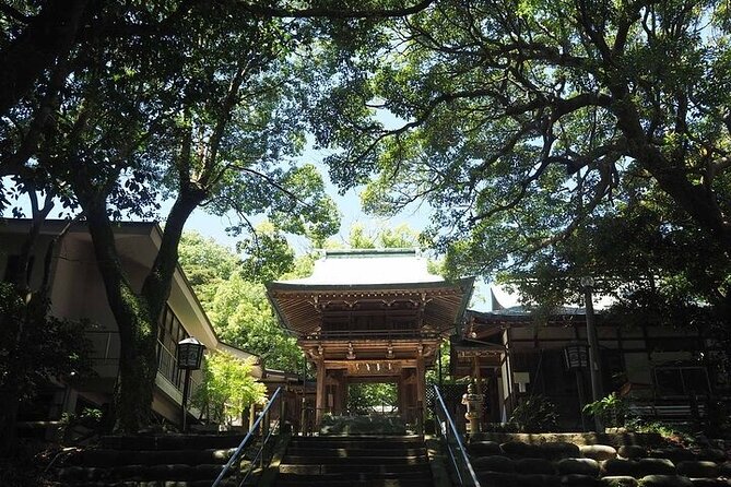 Half Day Fukuoka Island Car Tour With Food - Pricing