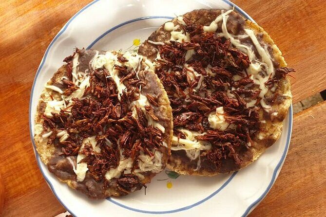 Half-Day Gastronomic Walking Tour in Oaxaca - What Makes This Tour Stand Out?