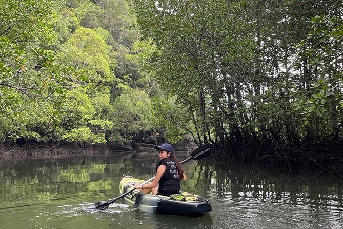 Half-Day Geopark Mangrove Kayaking Adventure - Overview of the Adventure