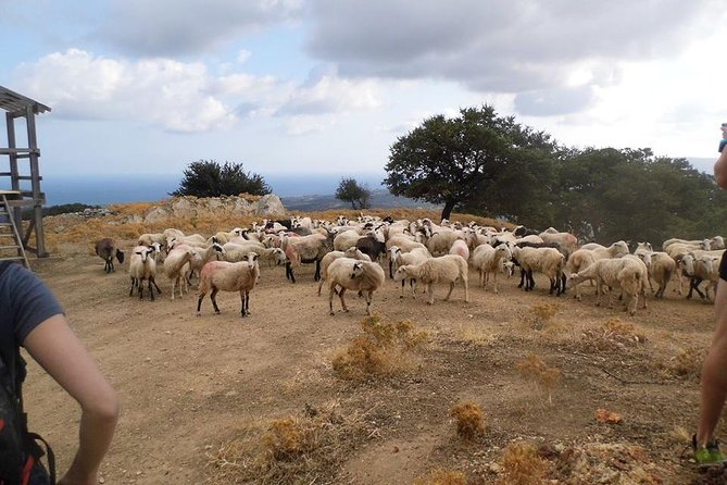 Half-Day Georgioupolis Off-Road Adventure With Meal - Personalized and Intimate Group