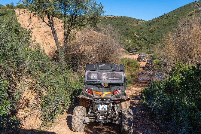 Half Day Getaway Buggy Tour - Booking Information